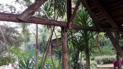 Photos of Monte Campana Pools