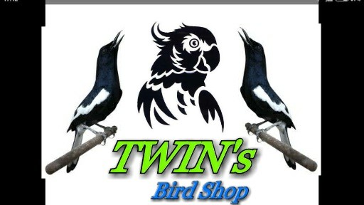 TWIN's Bird Shop, Author: #BaPeR_SAW 7