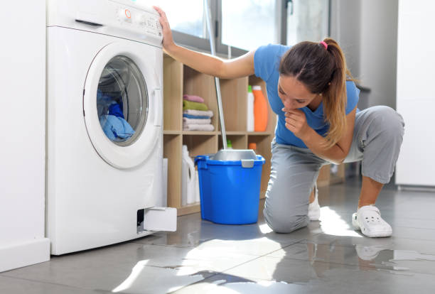 Elite Water Damage Solutions Santa Monica photo