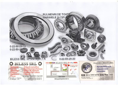 Photos of BILESS SRL