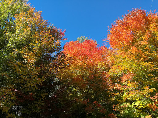 École Trois-Saisons - Visual