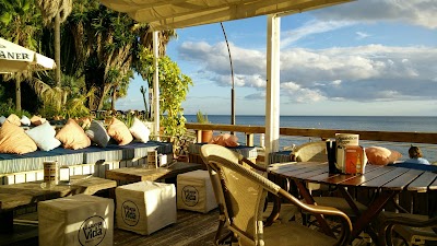 Photos of Blue Dolphin