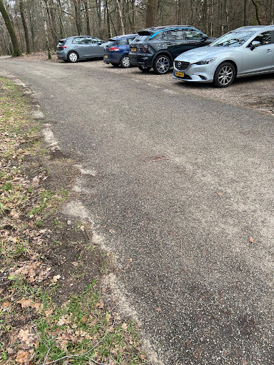 Wandelparkeerplaats schaapskooi Loenermark - Thumbnail