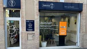 Photo n°1 de Selectour - Saint Lys Voyages à Saint-Lys (Agence de location de maisons de vacances)