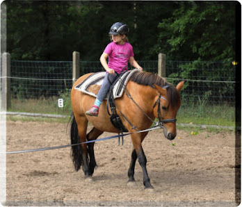 Die Bunte Ponyfarm - Reiterhof Zeuthen Str. am Hochwald 20a, 15738 Zeuthen, Deutschland