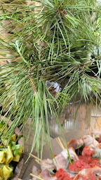 Photo n°24 de Berluss' Cook à Puy-Saint-Martin (Traiteur)