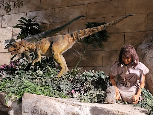 Creation Museum - Visual
