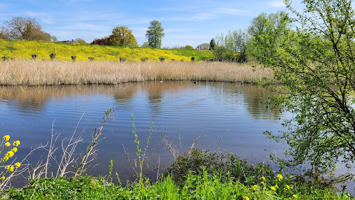 De Wejenward
