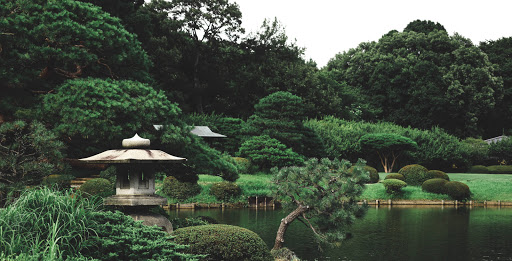 Photo de ARFI Paysagiste Pisciniste 94 à Limeil-Brévannes (94450)