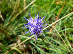 Photo n°4 de YaPluKa à Vars (Organisateur d’activités de plein air)