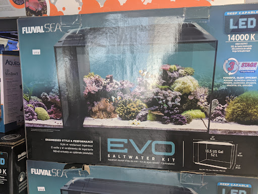 Aquallations - Visual