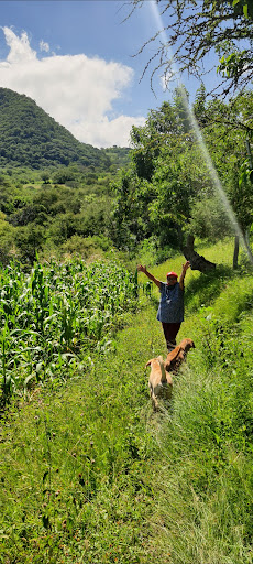 San Antonio el Mogote - Thumbnail