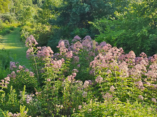 Old Crow Wetlands Area - Thumbnail