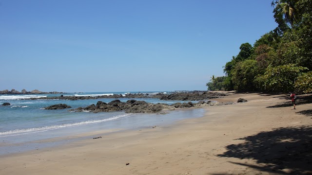 Corcovado National Park Office