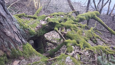Photos of Nemunas Loops Regional Park, Visitor Center