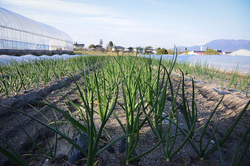 Kanada Farm｜金田農園