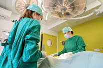 Clinique vétérinaire de Saint-Jean Le Blanc - Sevetys à Saint-Jean-le-Blanc