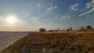 Photos of Baines Baobabs