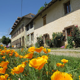 Photo n°9 de Domaine Sainte Anne: Chambres d'hôtes avec spa et sauna en Savoie, salle de réception, proche Chambéry, Parc de Chartreuse à Saint-Franc (Spa en extérieur)