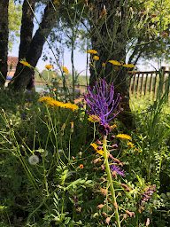 Photo n°51 de Camping Naturiste De Lalbrade à Lugagnac (Terrain de camping)