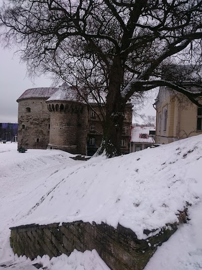 Photos of Estonian Health Care Museum