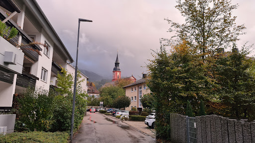 Waldkirch via lorelei - Thumbnail