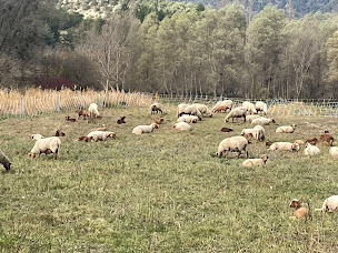 Photo n°28 de Camping du Petit Vaux à Veynes (Terrain de camping)