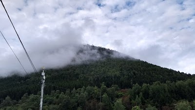 Photos of Vindedal camping