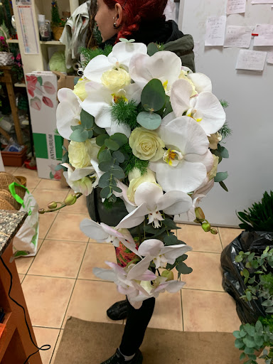 Idea Fiore - Visual