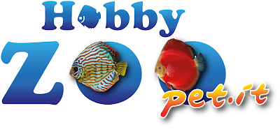 Photos of Hobby Zoo