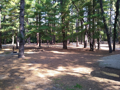 Pine Campground - Visual