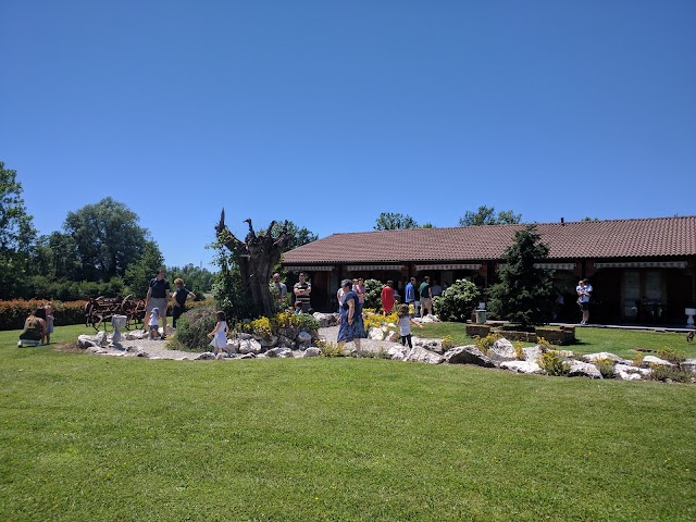 Agriturismo AgroDolce