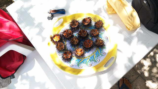 Bar Alimentari Tabacchi da Carlo