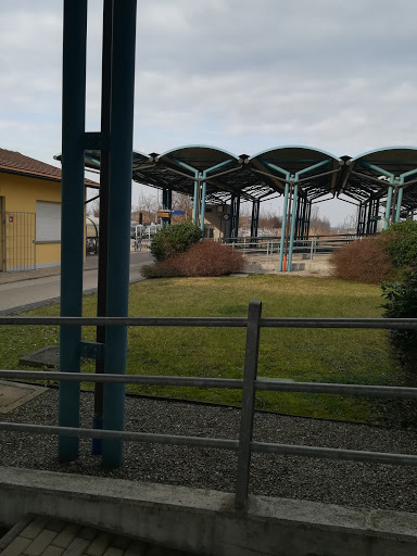 Mirandola - Visual