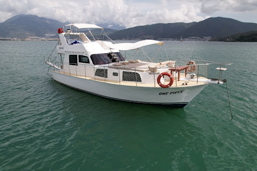 ONE PIECE BOAT