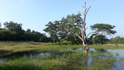 Photos of ධම්මගිරි ආරණ්&zwj;ය සේනාසනය