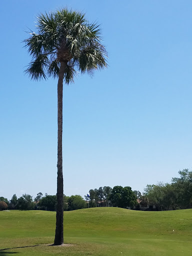 Feather Sound Country Club - Thumbnail
