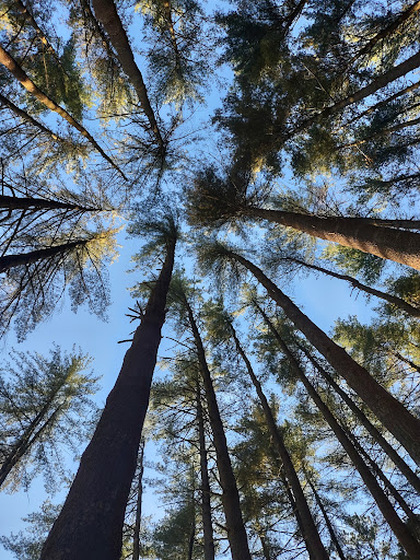 Sand Run Picnic Area - Thumbnail