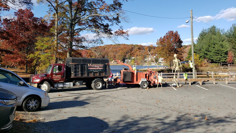 Markovski Landscaping & Tree Service