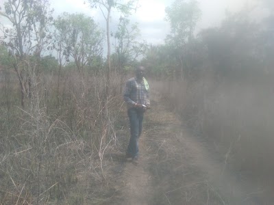 Photos of Osomari Forest Reserve