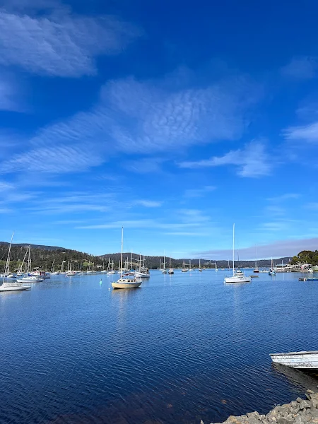 Port Cygnet Sailing Club photo