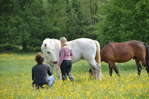 Photo n°6 de Ballade des Sens à Québriac (Club d'équitation)