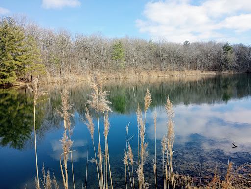 Greene Sullivan State Forest - Thumbnail