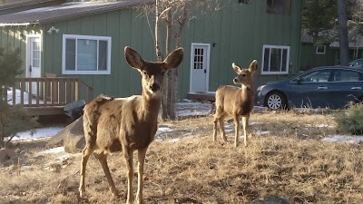 La Junta Guest Ranch