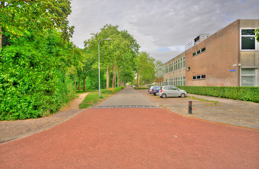 Jeugdbescherming west - Thumbnail