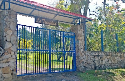 gas-station