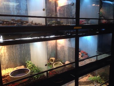 pet-store
