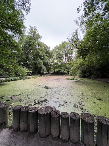 Small pond - Thumbnail