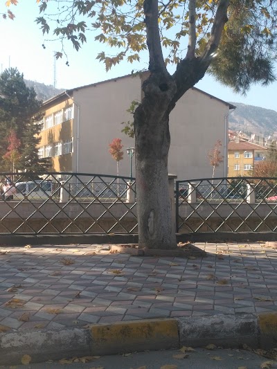 Cankiri Lisesi