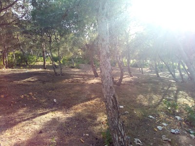Photos of For&ecirc;t Mers El Hadjadj
